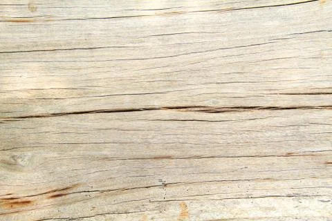 Texture of wood background closeup Stock Photos