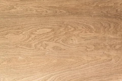 Texture of wood background closeup Stock Photos