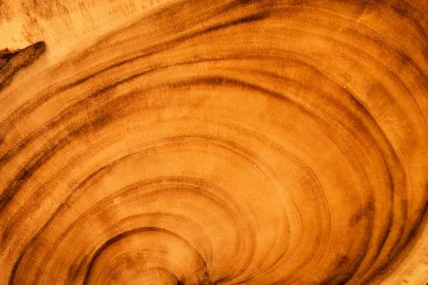 Texture of wood background Stock-Fotos
