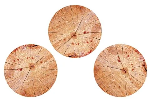 Texture of wood  background Foto stock