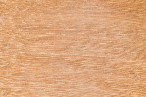 Texture of wood background Stock Photos