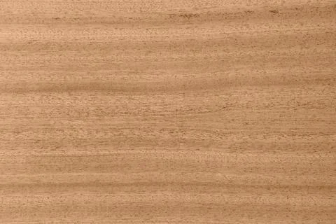 Texture of wood background Stock Photos