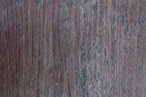 Texture of wood background. Stock Photos