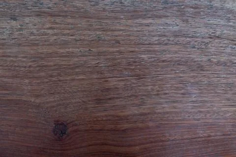 Texture of wood background. Stock Photos