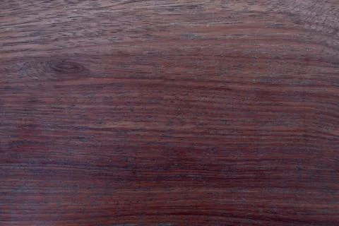 Texture of wood background. Stock Photos