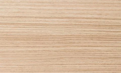 Texture of wood background Stock Photos