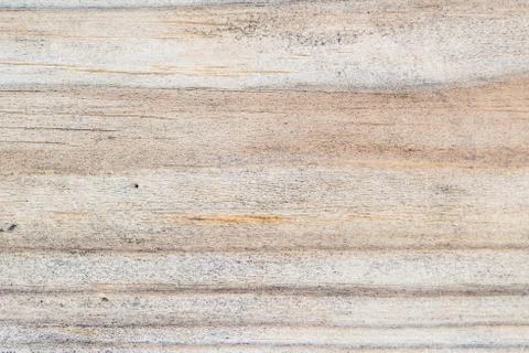 Texture of wood close up Stock Photos