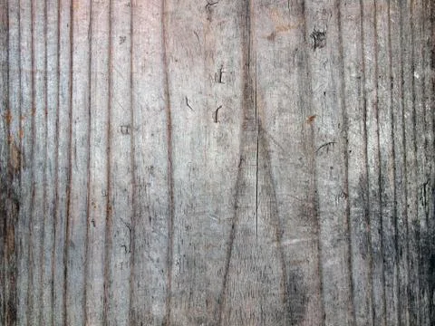 Texture wood close up Stock Photos