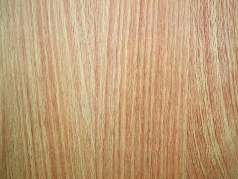 Texture wood close up Stock Photos