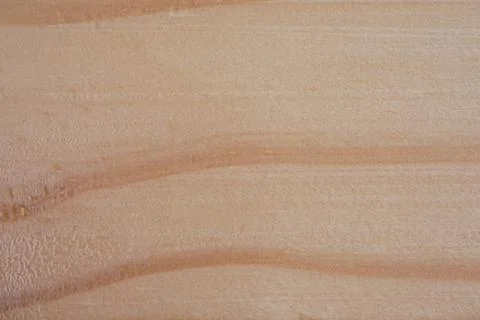 Texture of wood grain background Patterns that reflect the beautiful and uniq Foto stock