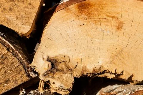 Texture of wood Stock Photos