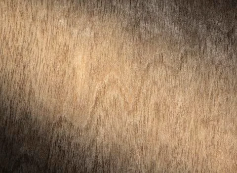Texture of wood Stock Photos