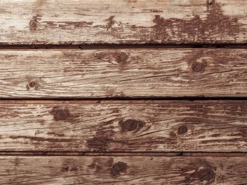 Texture of the wood Stock Photos