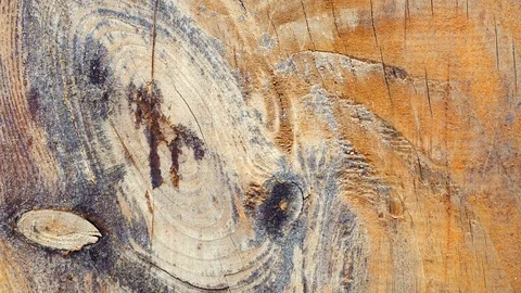 Texture of wood plank close up Stock Footage 106746620