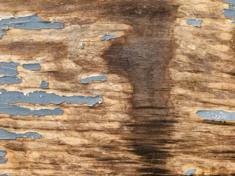 Texture of wood plank with spot of water spillage. Stock Photos