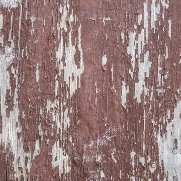 Texture of a wood wall Stock Photos