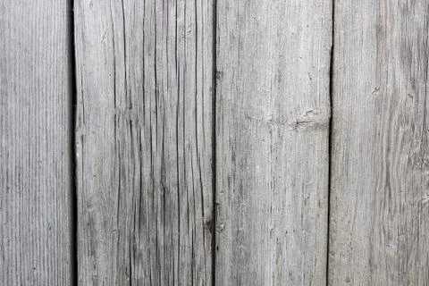 Texture of a wooden background Stock Photos