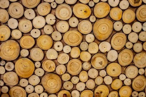 Texture of wooden log section. Stock Photos