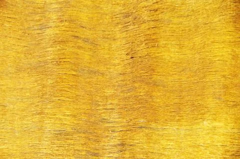 Texture of wooden Stock Photos