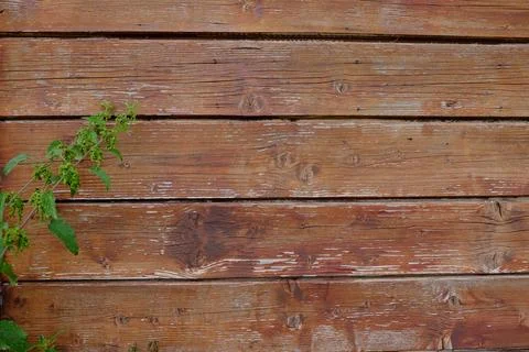 Texture of wooden surface as background, closeup Stock Photos