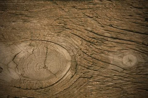 Texture to wooden surface Foto stock