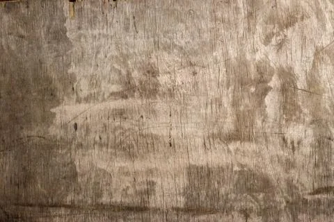 Texture of a wooden surface Stock Photos