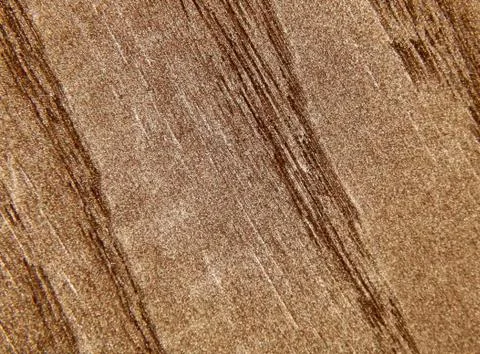 Texture of a wooden surface of a tree painted in gold color Stock Photos