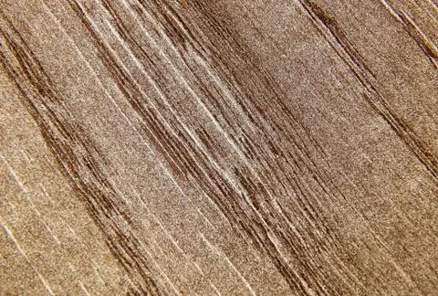 Texture of a wooden surface of a tree painted in gold color Stock Photos