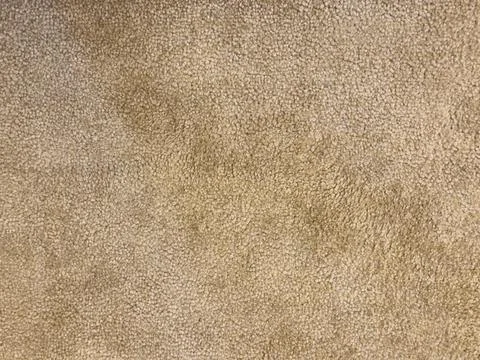 Texture of wool carpet background Stock Photos
