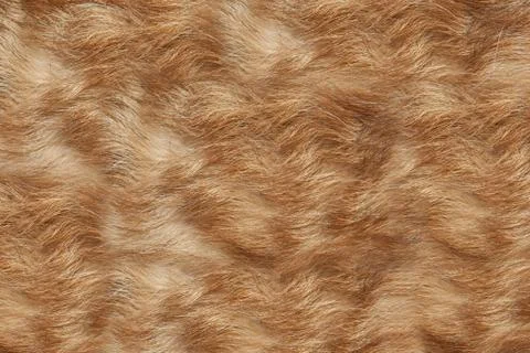 Texture wool red dog Stock Photos