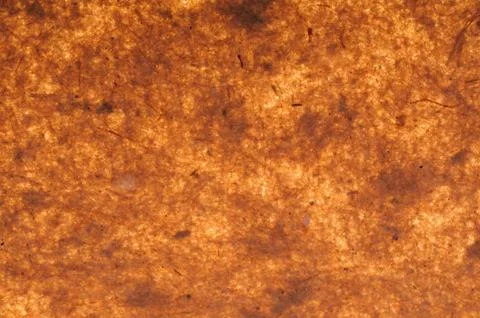 Texture of wrapping paper Stock Photos