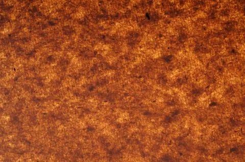 Texture of wrapping paper Stock Photos