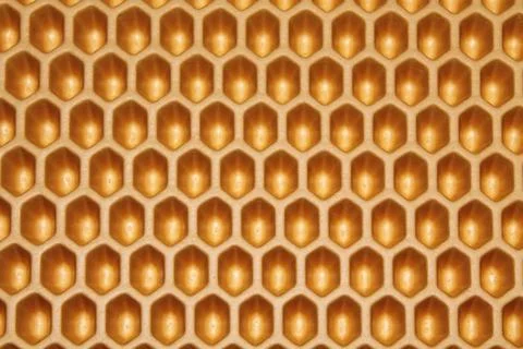 Texture yellow cells close up Stock Photos