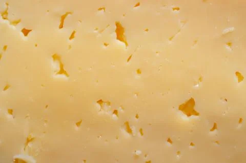 Texture of yellow cheese with holes, slice Stock Photos