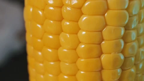 Texture of yellow grains of corn cob, background food organic close-up. Stock Footage 184473809