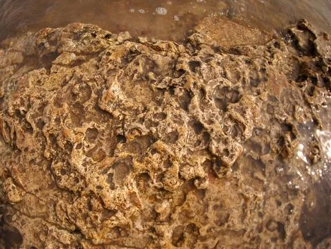 Texture of the yellow limestone Stock Photos