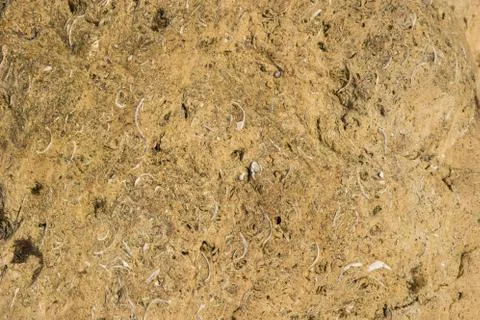 Texture yellow plastered cliff texture for background. Stock Photos