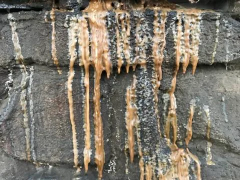 Texture. yellow sandstone Stock Photos