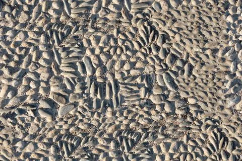 Texture1 Stock Photos