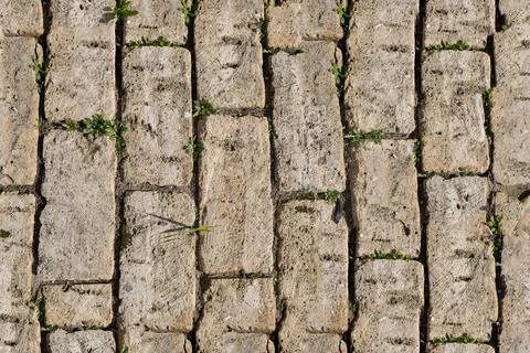 Texture6 Stock Photos