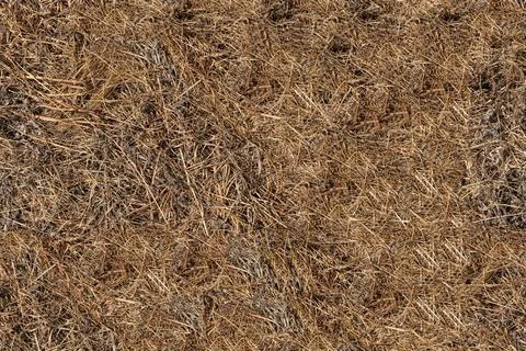 Texture8 Stock Photos