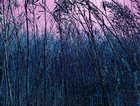 Textured abstract artwork with vertical patterns resembling tree branches. .. Stock Photos