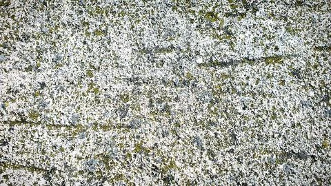 Textured abstract background with natural stone-inspired patterns in white,.. Stock Illustration