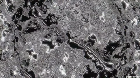 Textured Abyss: Organic Patterns, Monochrome Terrain, Abstract Shot Stock Footage 299675814