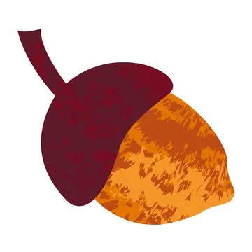 Textured acorn vector flat isolated illustration on white background Stock Illustration
