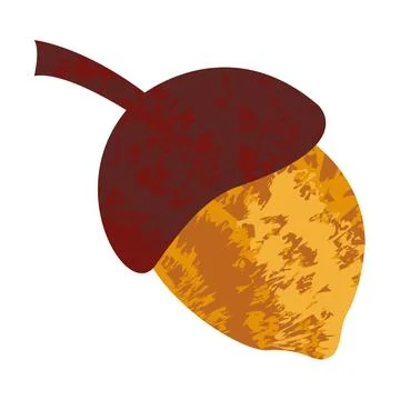 Textured acorn vector flat isolated illustration on white background Stock Illustration