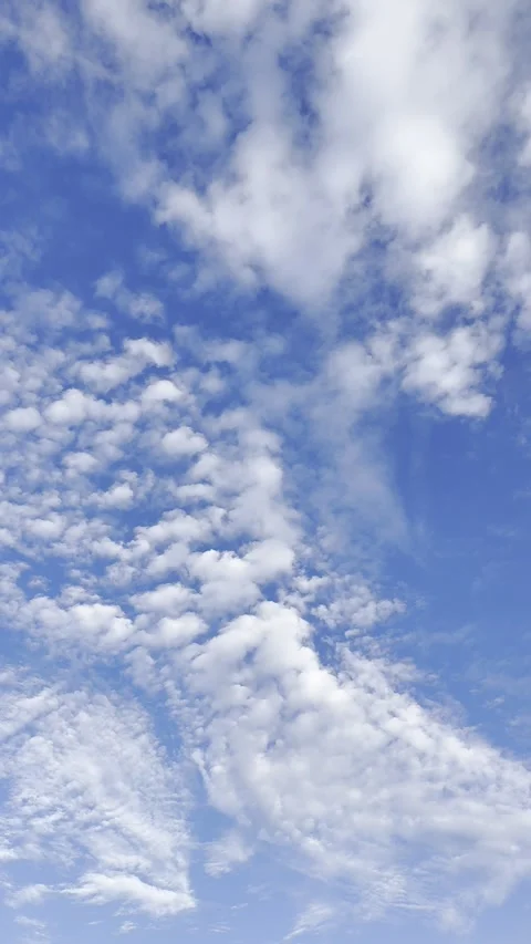 Textured Altocumulus Clouds Moving Across Deep Blue Sky Video stock 344716999