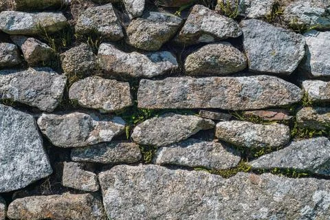Textured ancient stone wall background with green moss and small plants Stock-Fotos