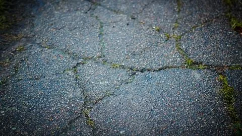 Textured asphalt surface with cracks and grass growing in between Stock Photos