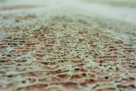 Textured background of abstract shape limestone deposits of travertine Pamukkale Foto stock